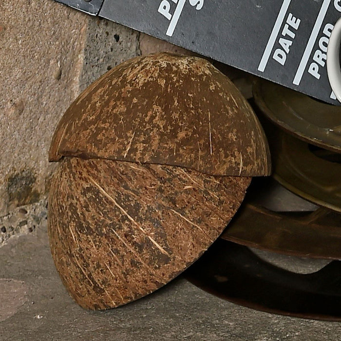 Python Coconuit Monty Python Coconut Halves — Historic Scotland Shop