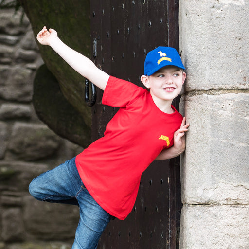 Child wears a red tee with the blue cap featuring a Scotland banner and a unicorn. 