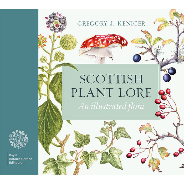 Front cover of Scottish Plant Lore features an array of Scottish berries and plants. 