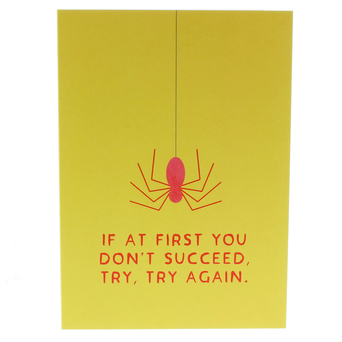 Robert The Bruce Spider Dunfermline Greeting Card — Historic Scotland Shop