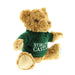 Small cuddly teddy bear wearing a green jumper with white text that reads Stirling Castle. The bear has a St Andrew's flag on it's left paw. 