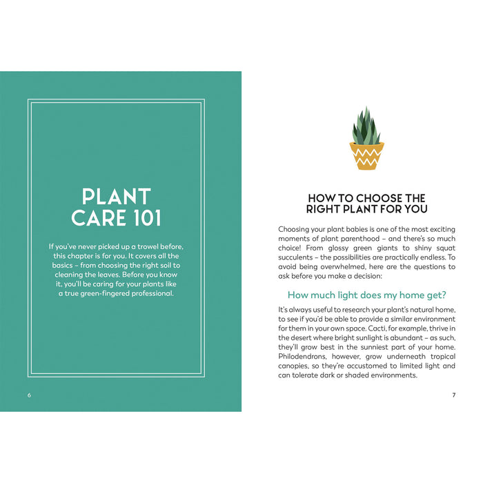 An insert of the Little Book for Plant Parents highlights 'Plant Care 101' which is an insight on how to choose the right plant for you. 