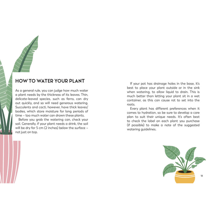 An insert of The Little Book for Plant Parents offers information on how to water your plant along with some digital images of plants. 