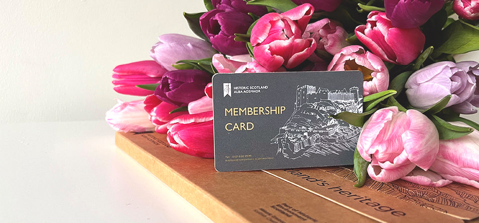 The Historic Scotland Membership card placed on a brown envelope and surrounded by pink and purple tulips. 
