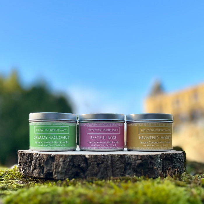 A trio of candle tins placed on a piece of bark sit infront of a blue sky and in the distance there is a castle and it's grounds. 