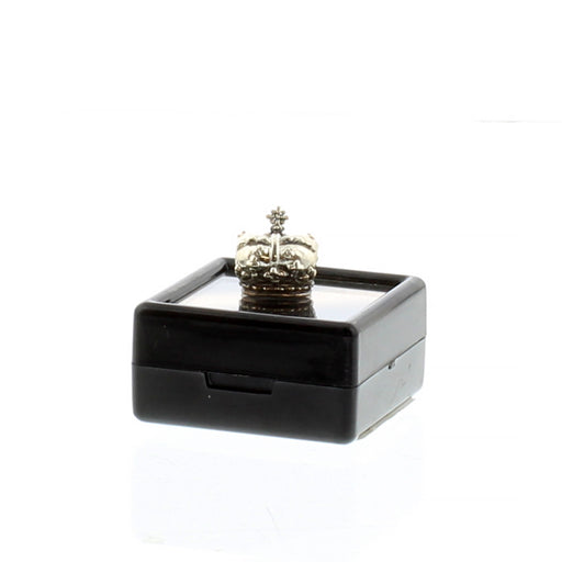 Small silver Scottish Crown Chamr bead placed on it's black display protection box. 