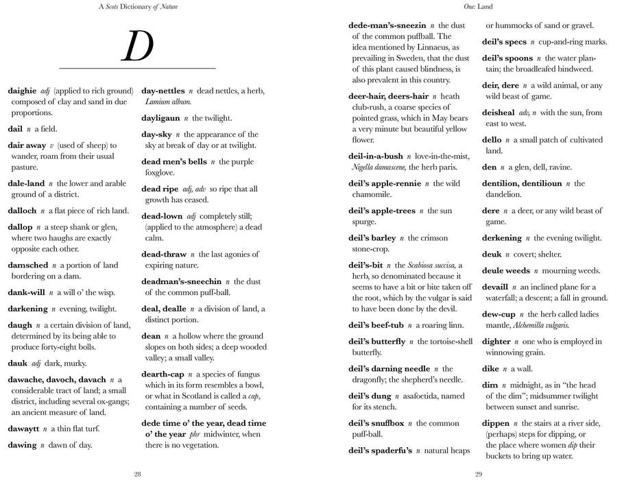 inside page example of a scots dictionary of nature featuring letter D
