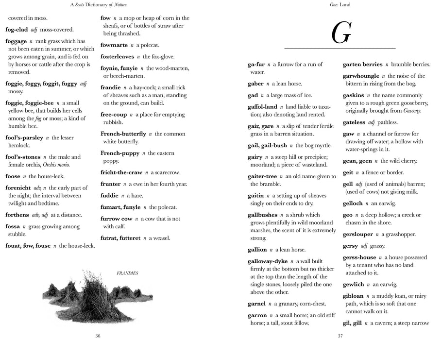 inside page example of a scots dictionary of nature featuring letter G