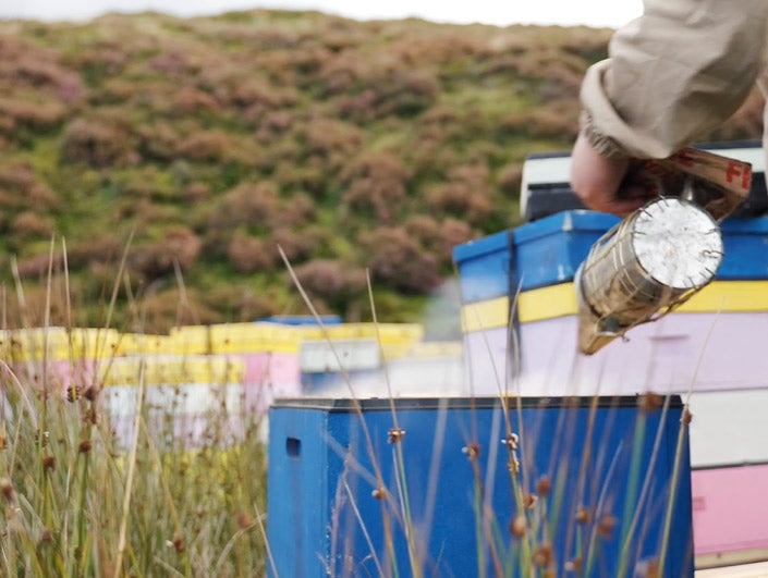 a collection of hives shown in scottish countryside in grassy area with arm reaching from side beekeeper off camera starting to tend to hives