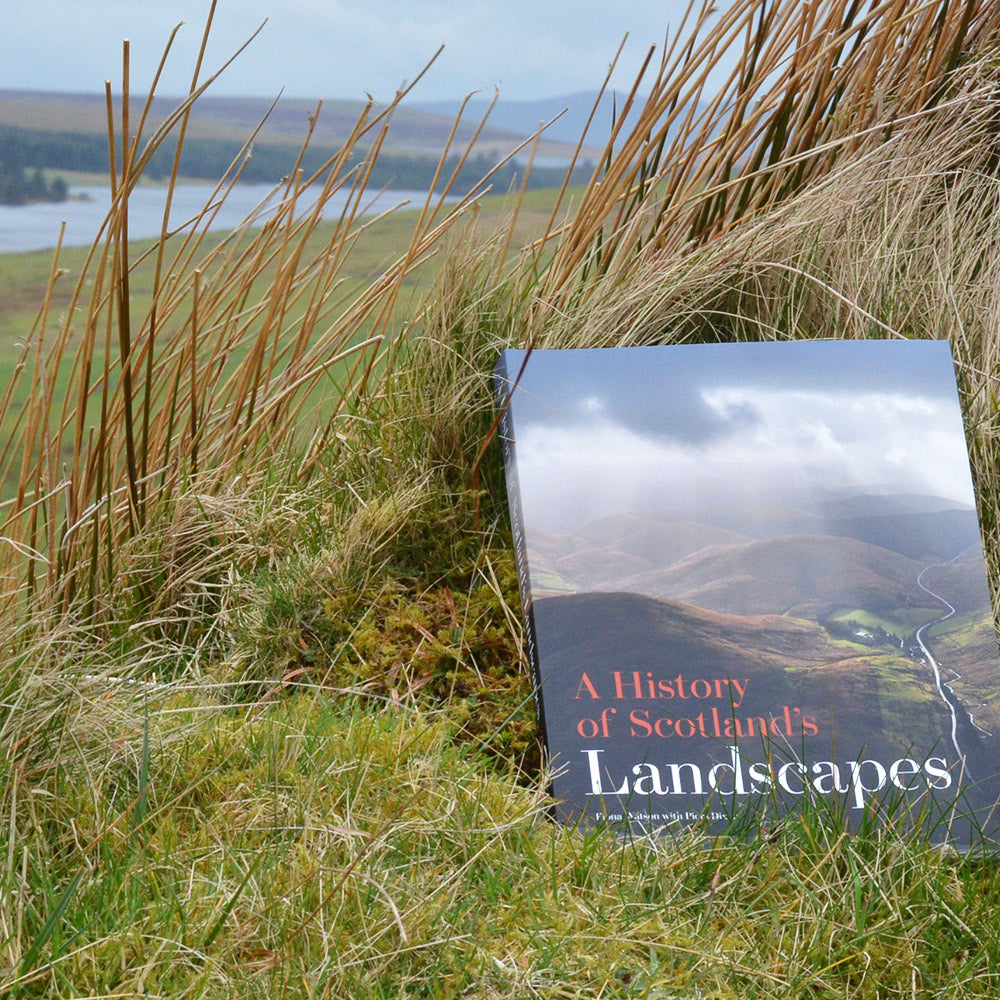 a history of scotlands landscapes book show on mountain hillside with loch in background