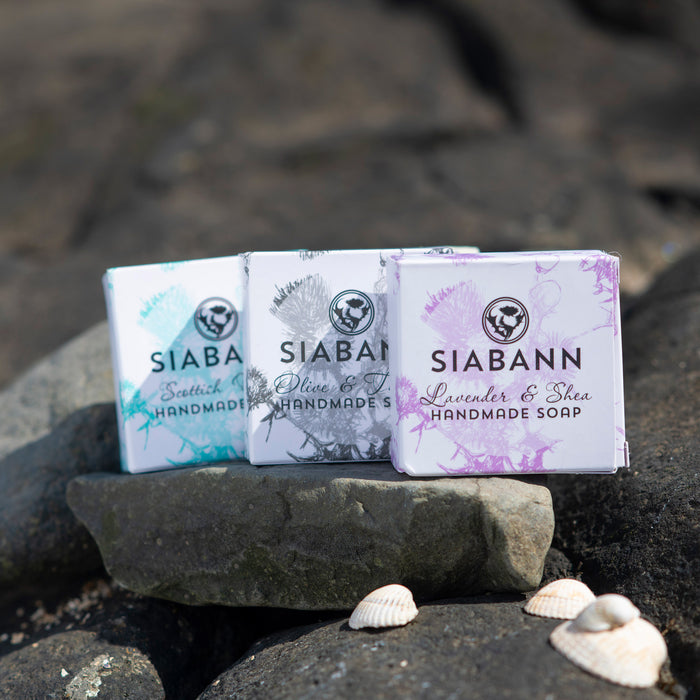 siabann soap shown on rock at shoreline with seashells in foreground