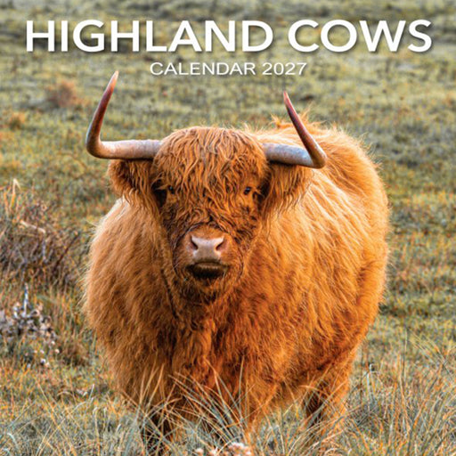 Highland Cows Calendar 2027 wall calendar cover featuring a close-up photograph of a shaggy Highland cow in a grassy field, with the title 'HIGHLAND COWS' and 'CALENDAR 2027' in white text at the top. - Image