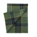 A folded green plaid scarf with fringed edges, featuring intersecting stripes of navy, light blue, yellow, and white on a solid white background. - Image