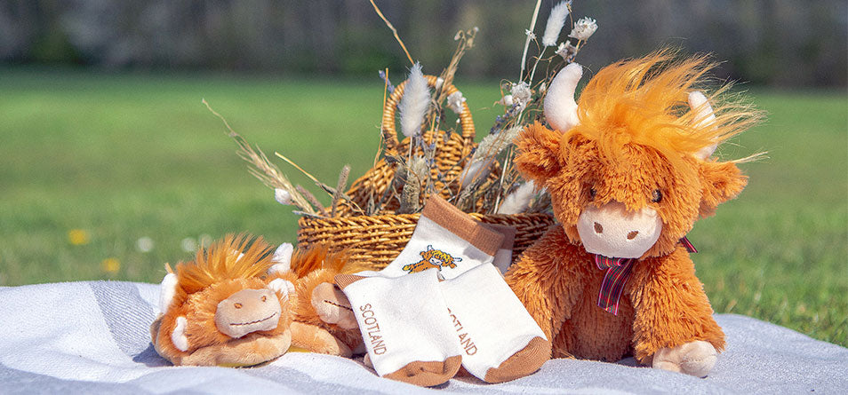 collection of Highland cow plush toys and accessories on a blanket in the sun - Image