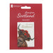 A rectangular Scotland magnet on red retail backing card. The magnet shows a highland cow wearing a red tartan hat, with the words 'Love from Scotland' above it. - Image