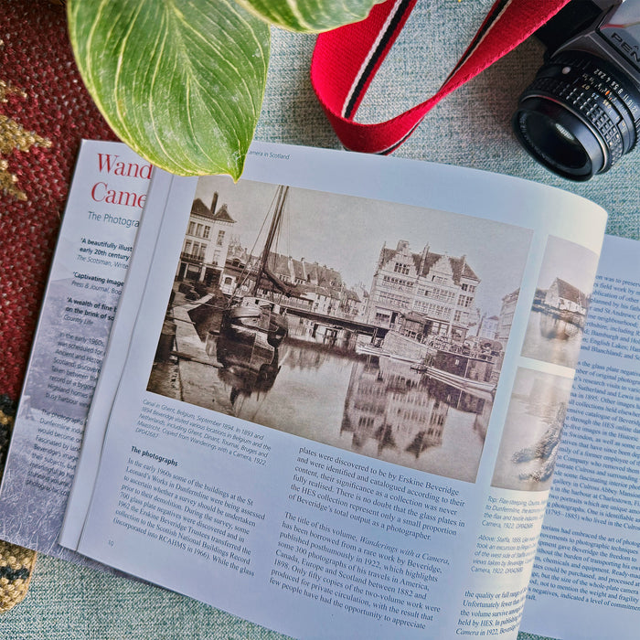 Book pages against a green surface with a camera and plant - Image