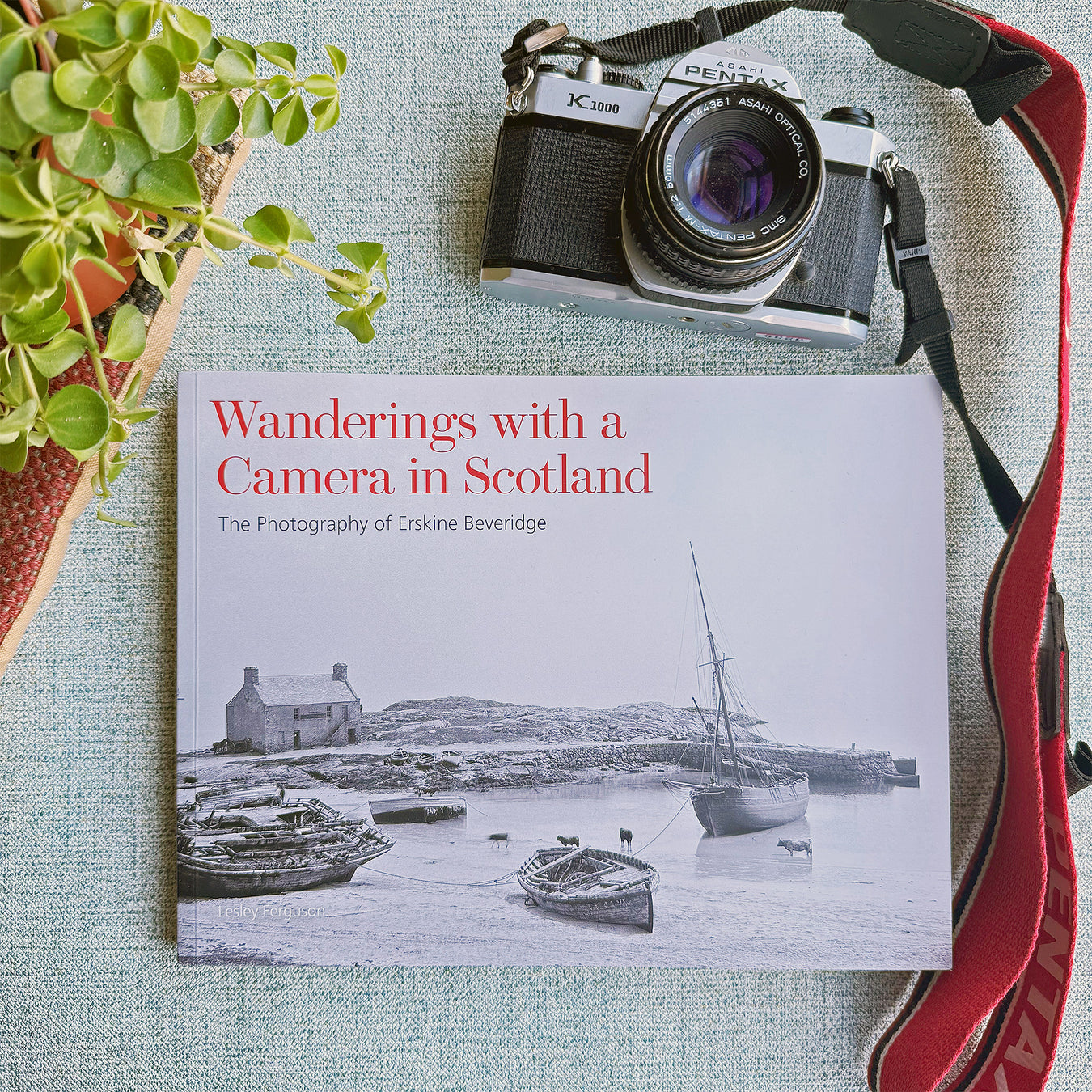 Book with text 'wanderings with a camera' on a green surface with a plant and camera - Image