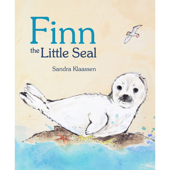Finn The Little Seal