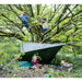 Children playing in a tree with the den kit set up and foliage on the ground 