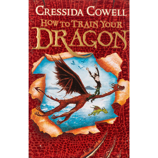 How To Train Your Dragon book cover with illustration of a flying dragon