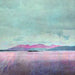 Cath Waters Arran Print close up of detail